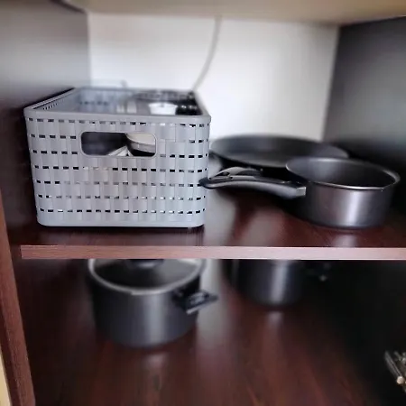 Daisy Grand Kamelia 阳光海滩