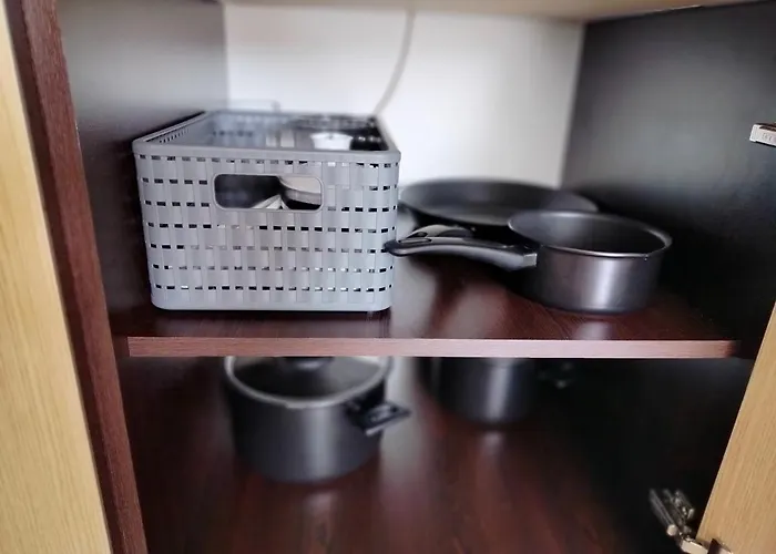 Daisy Grand Kamelia サニービーチ